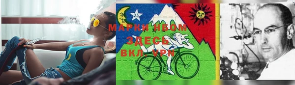тгк Ладушкин
