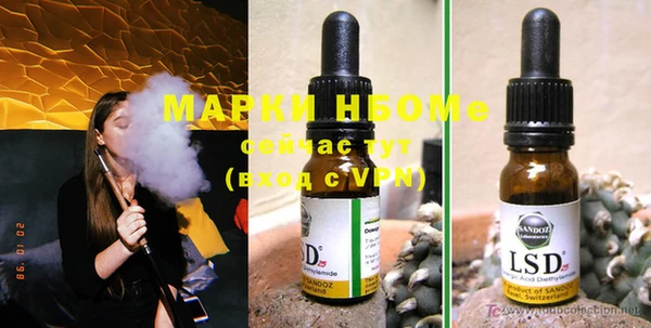 стаф Абинск