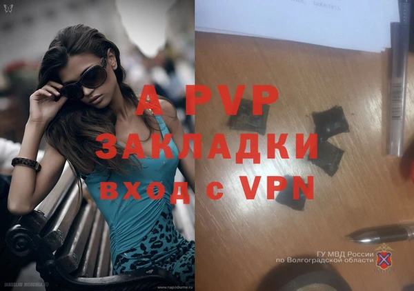 тгк Ладушкин