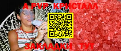 крисы Малгобек