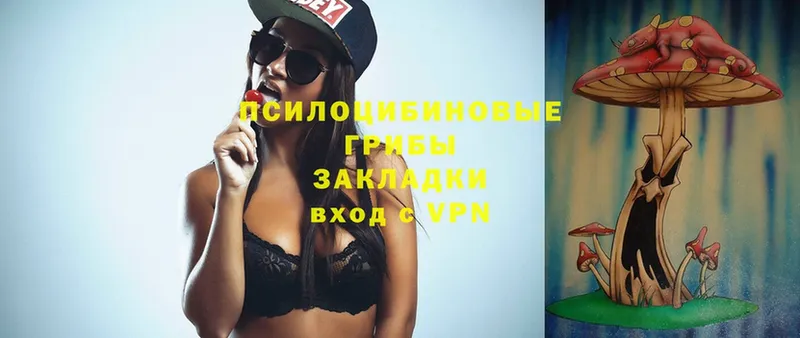 сайты даркнета клад  Шатура  Псилоцибиновые грибы мухоморы 