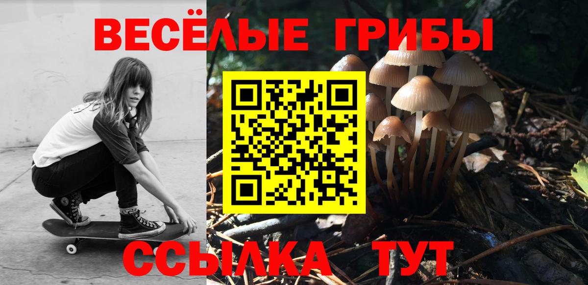 Шатура  Галлюциногенные грибы мухоморы  Вход с VPN  Псилоцибиновые грибы Magic Shrooms 