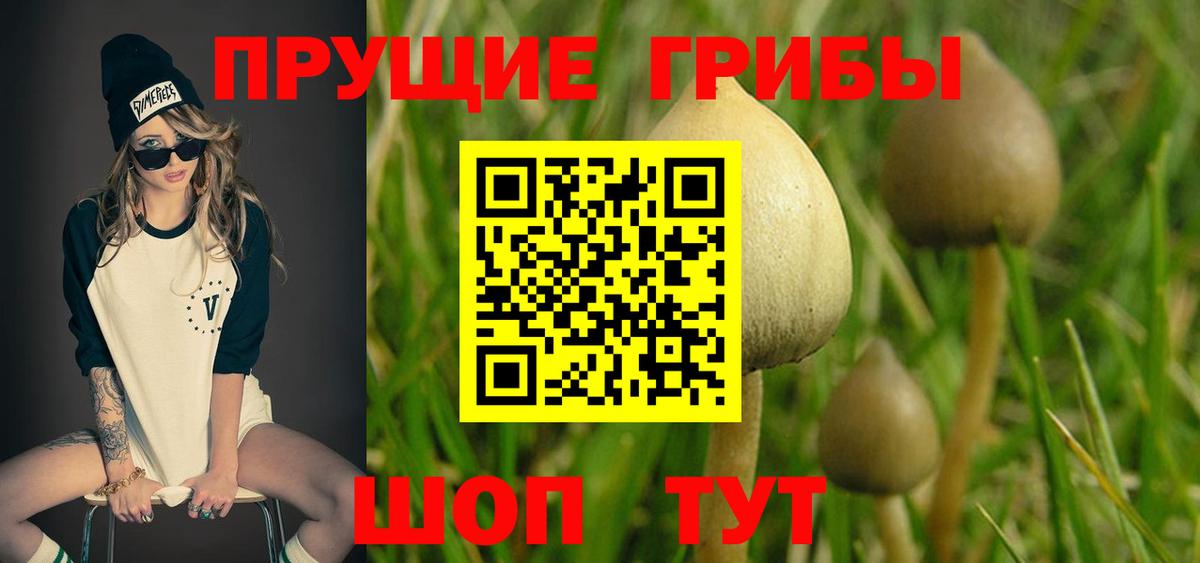 Галлюциногенные грибы мицелий Шатура