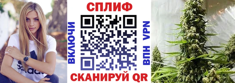 Бошки марихуана конопля  Шатура 